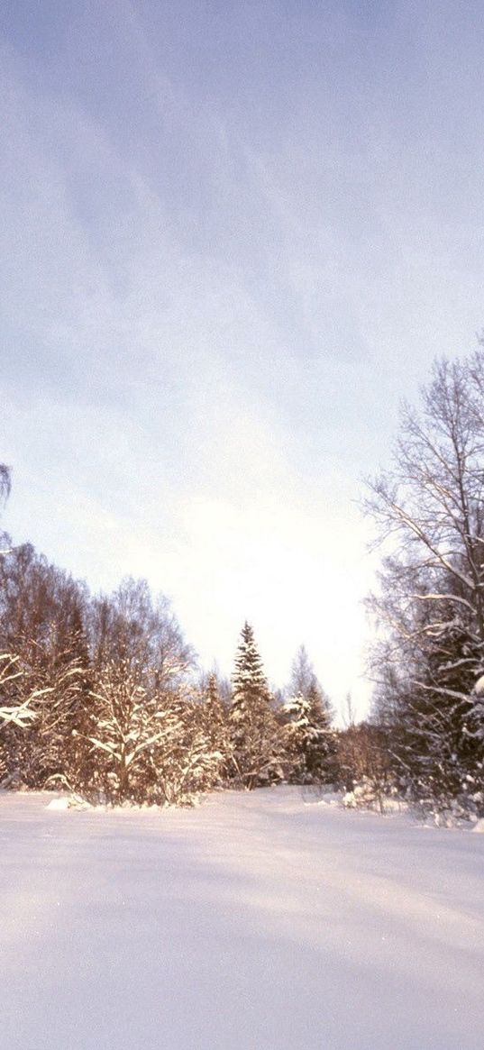 wood, snow, snowdrifts, trees