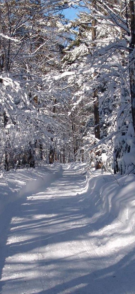 road, snow, snowdrifts, trees, wood