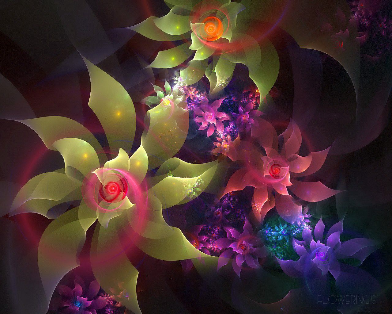 abstraction, flowering, multicolored