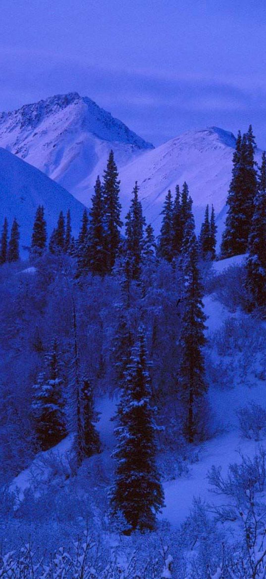 night, mountains, slopes, trees