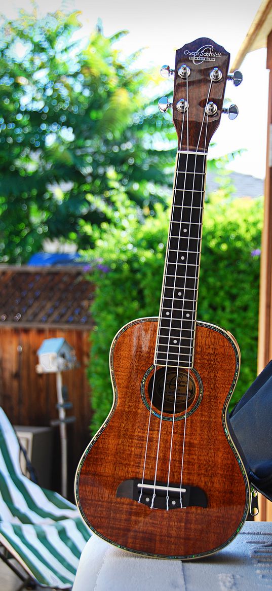 guitar, ukulele, strings, music, blur