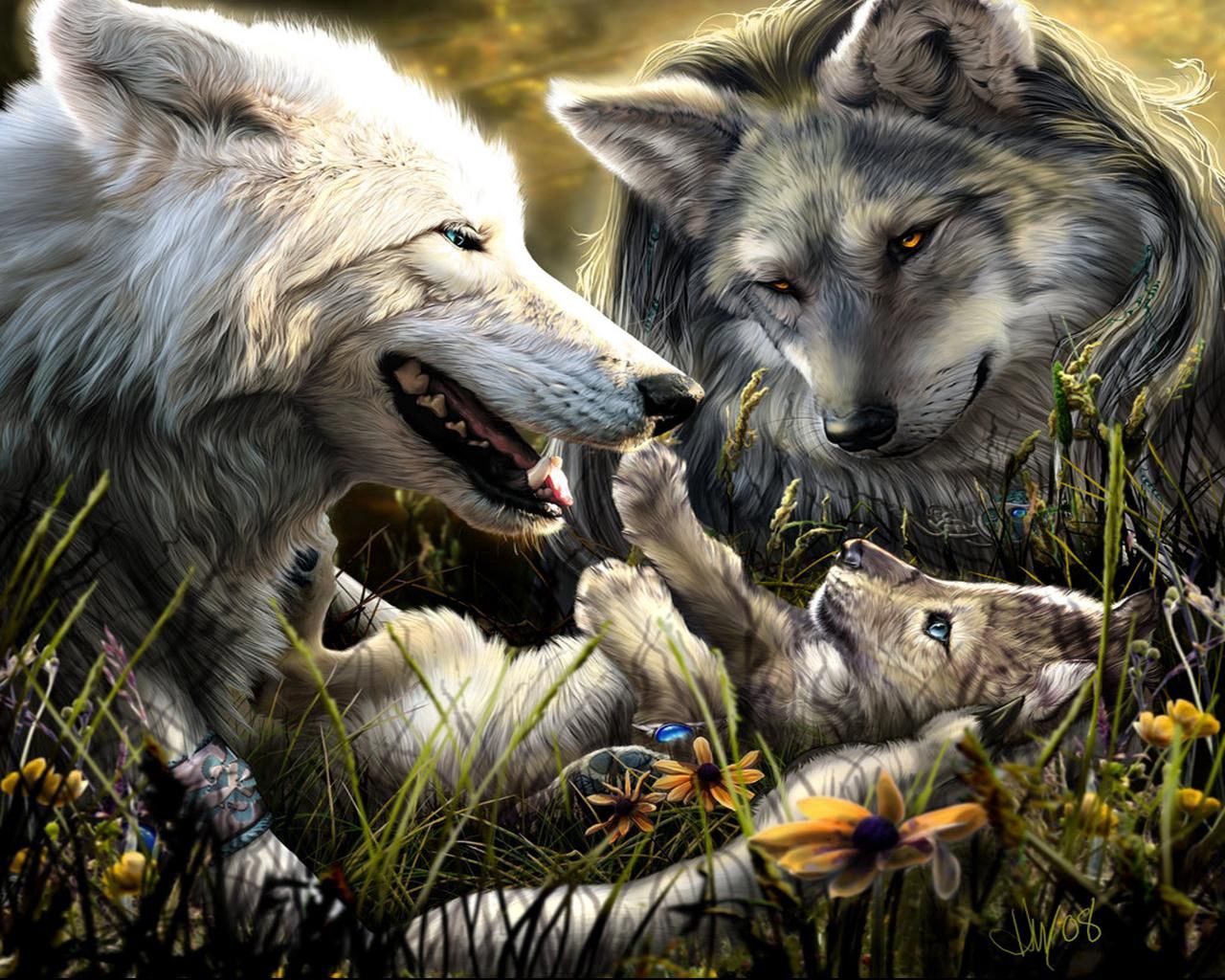 wolves, family, birth, love, kid