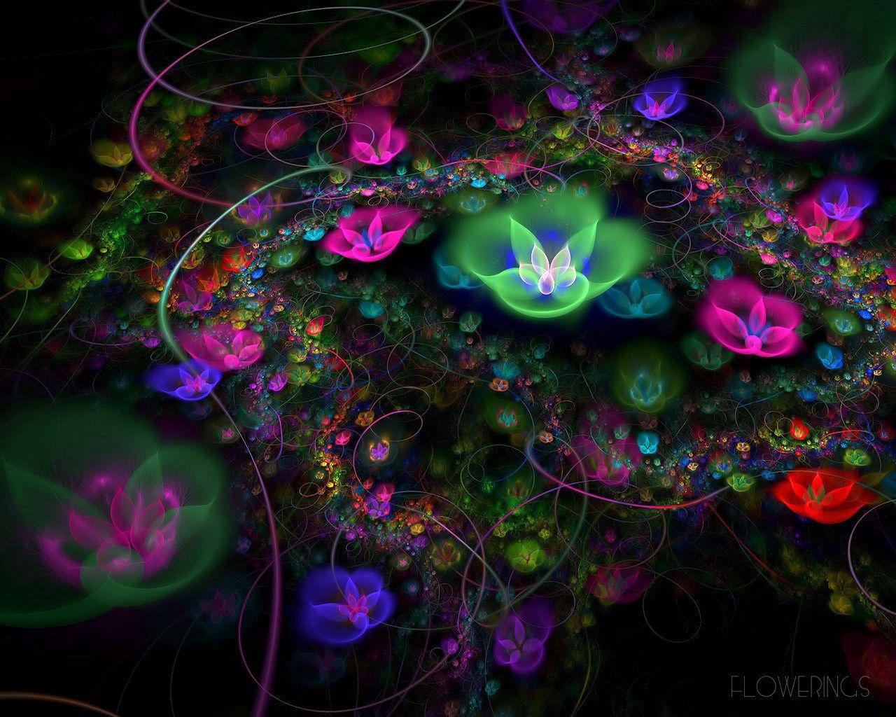 abstraction, bloom, bright, flower, fractal