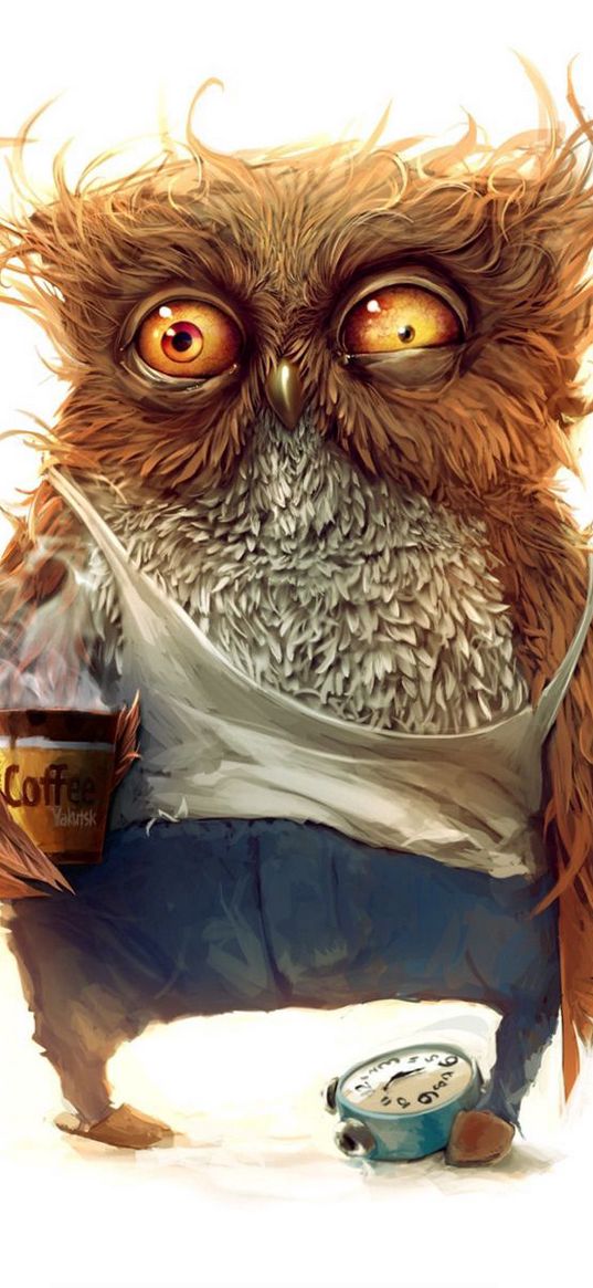 owl, coffee, alarm clock