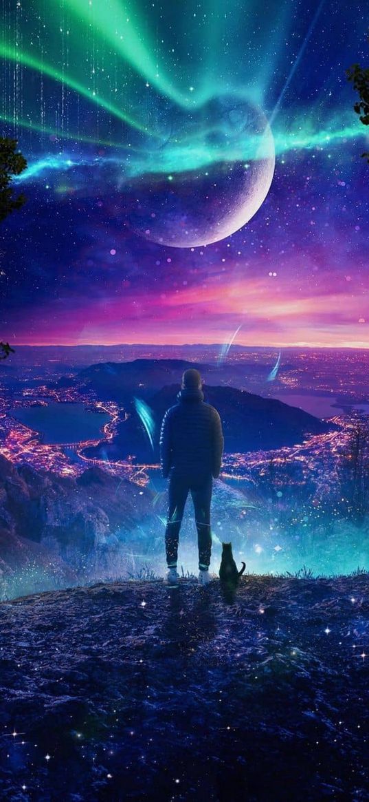 guy, cat, top, city, lights, planet, northern lights, sunset, stars, night, fiction, art