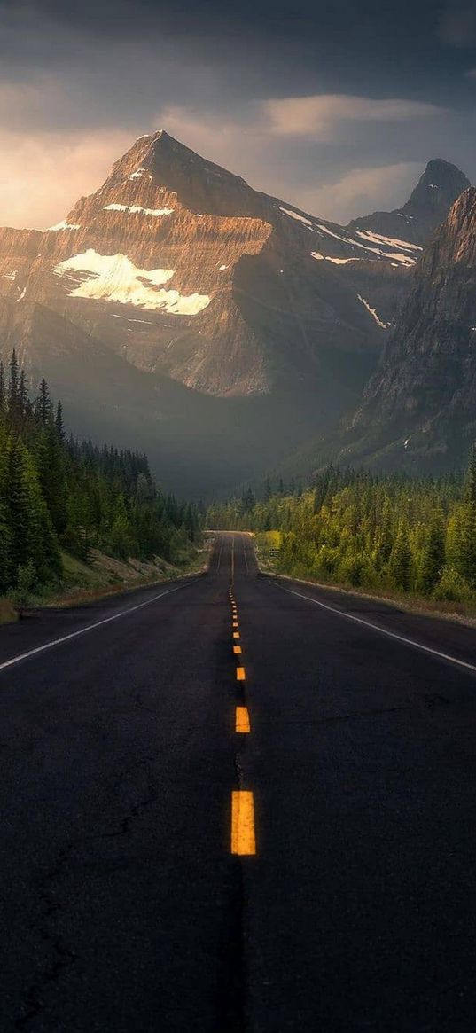 road, christmas trees, trees, forest, mountains, valley, clouds, sky, nature