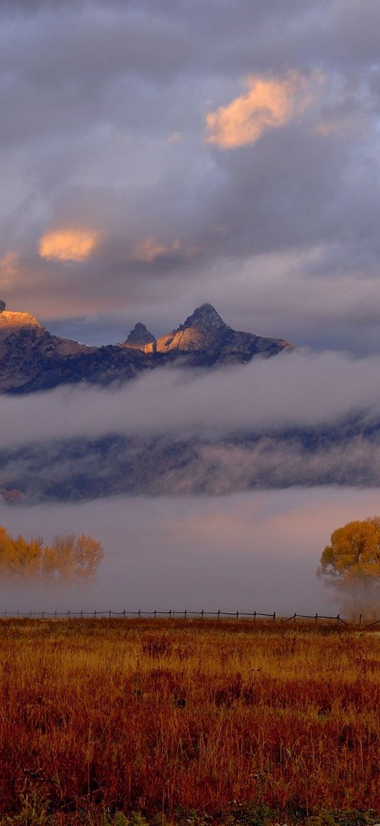 fall, mountains, morning, fog, awakening