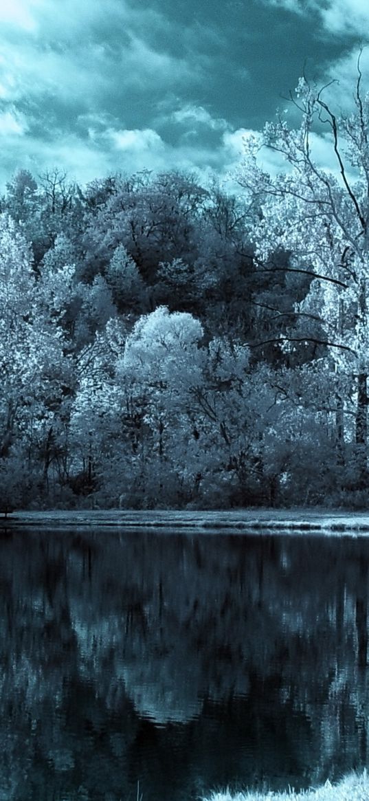 lake, trees, clouds, dark, black-and-white