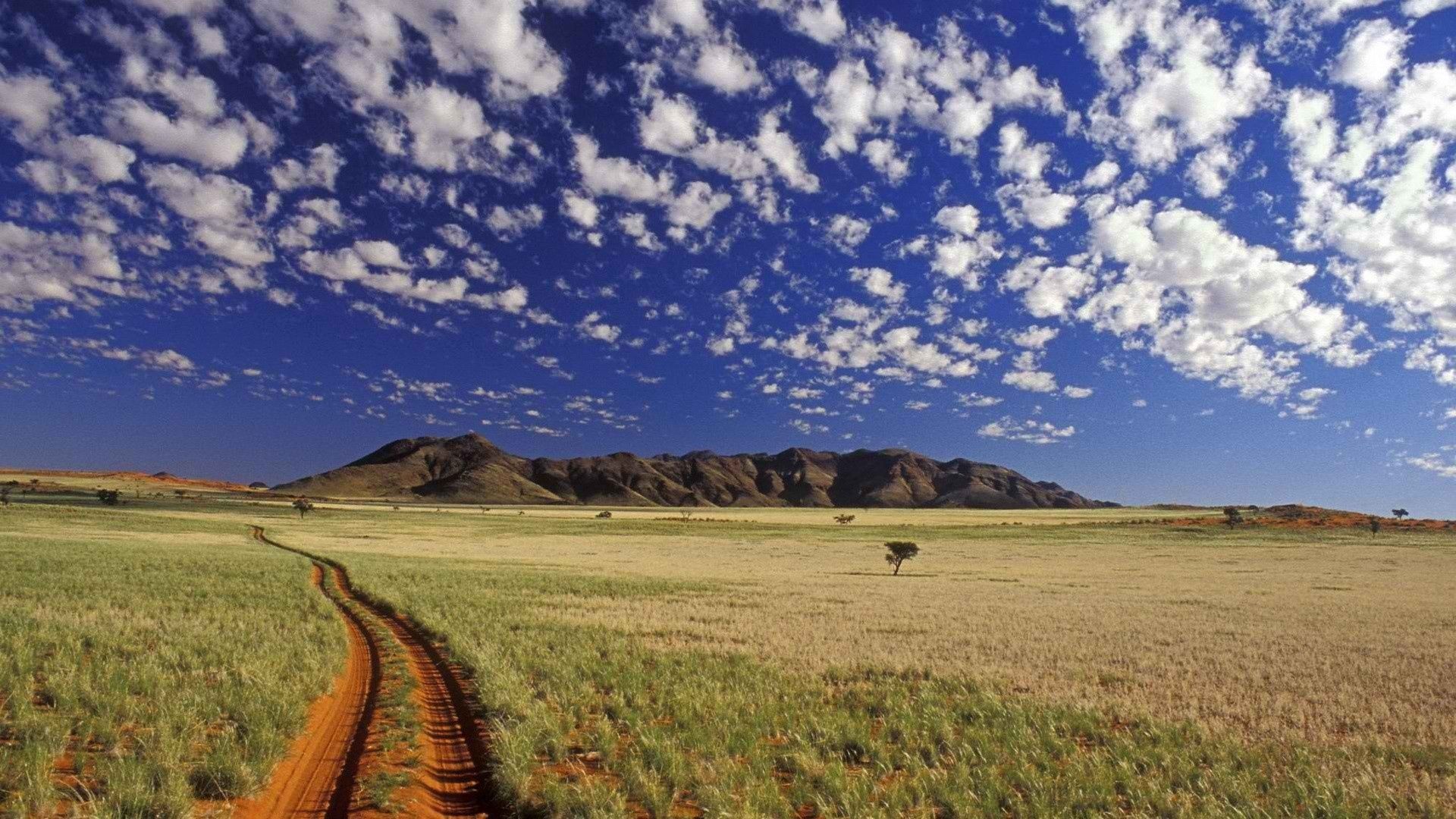 road, dirt, prairie, clouds, sky