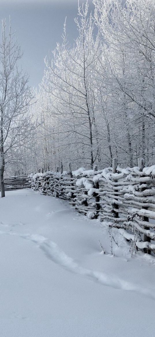 fence, snow, winter, tracks, cover