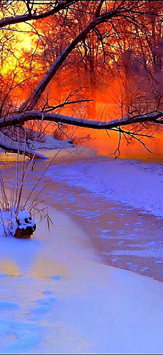 winter, sunset, evening, branches, tree, pond, cold, snow