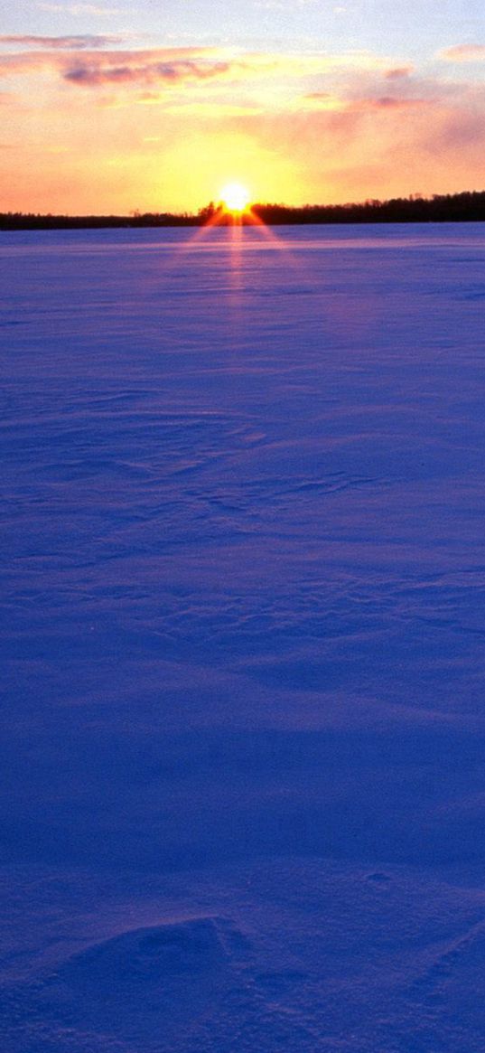 field, snow, evening, decline