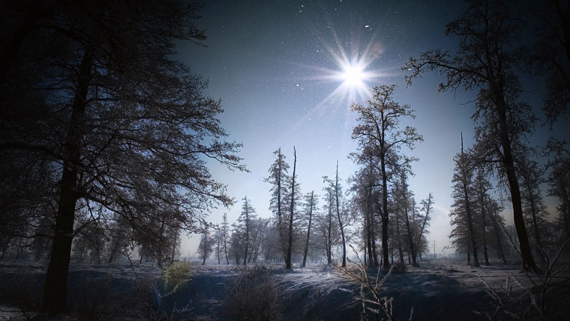 winter, sun, light, morning, snow, grain, timber