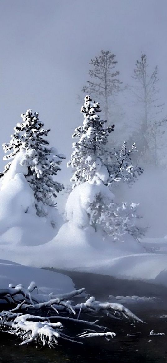 winter, river, evaporation, forest, snow