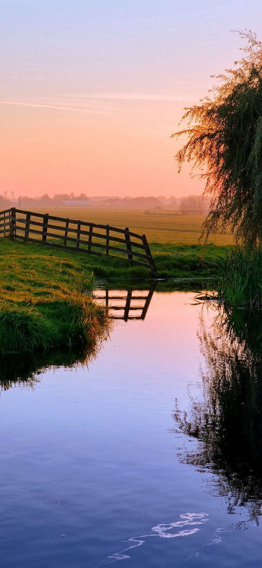 pond, house, sunset, ducks, village