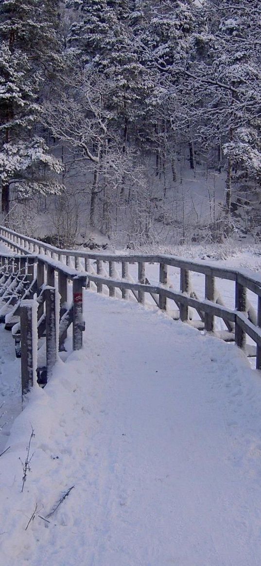 snowdrifts, wood, shades