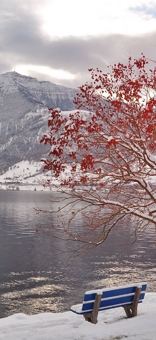 tree, bench, leaves, autumn, october, freezing, mountain, lake