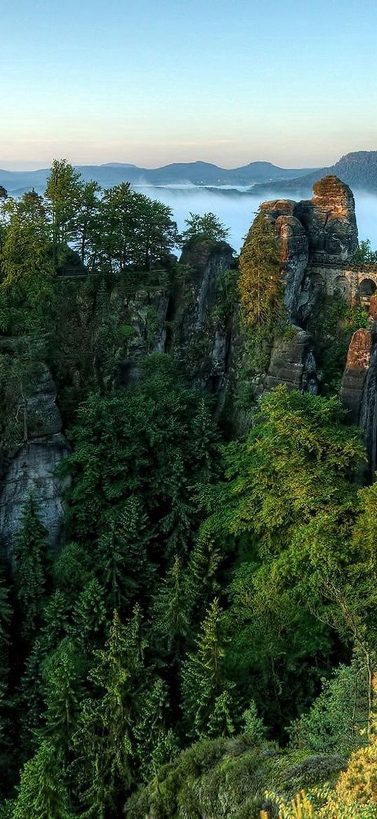 bridge, rocks, height, wood, pine, clouds, harmony