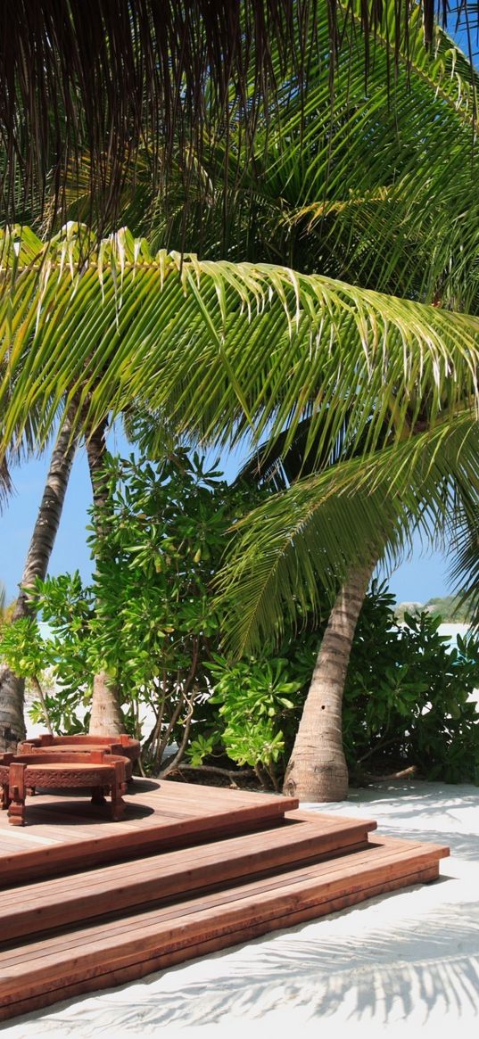 palm tree, beach, sand, tropical, sofas, stairs