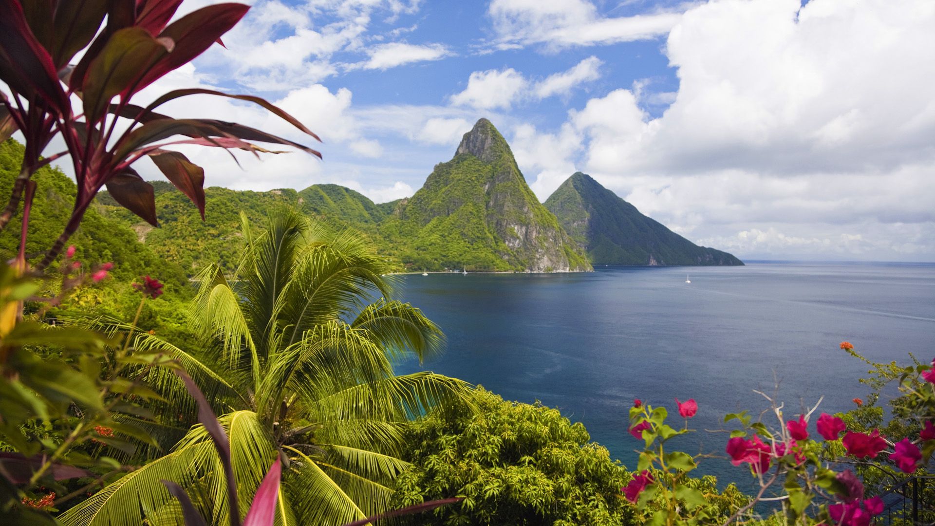 caribbean, ocean, palm trees, peaks