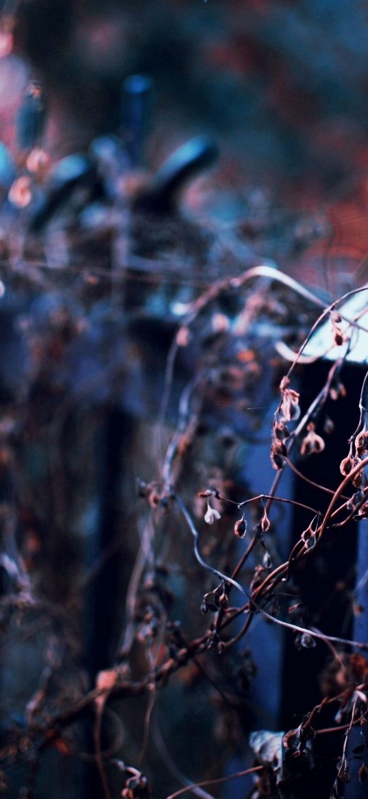 fence, bush, fall