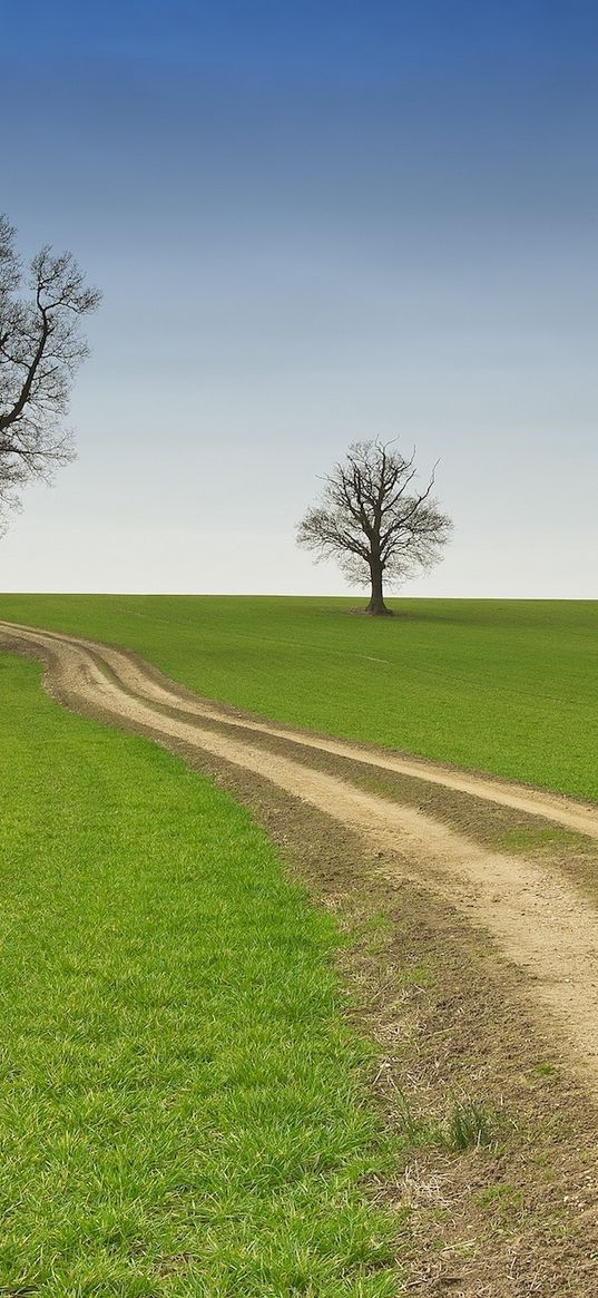 field, road, dirt, summer, trees, emptiness