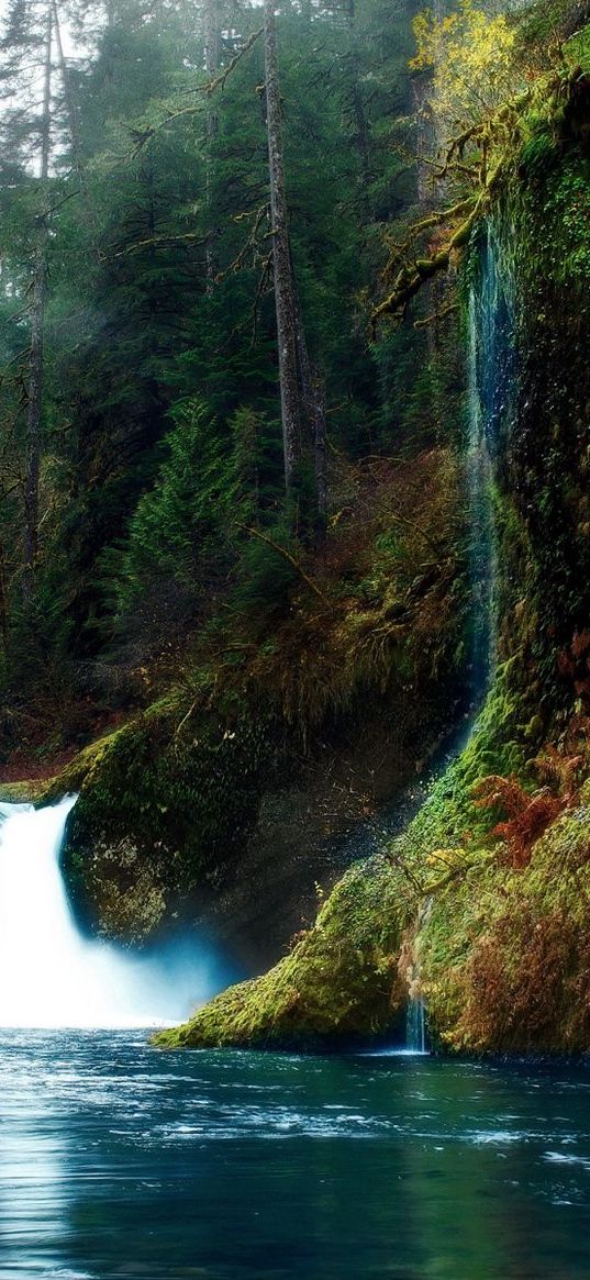 gorges, waterfalls, moss, rocks, mystery, color