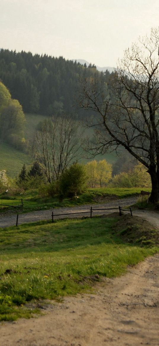 road, dirt, field, rotation, fence, summer