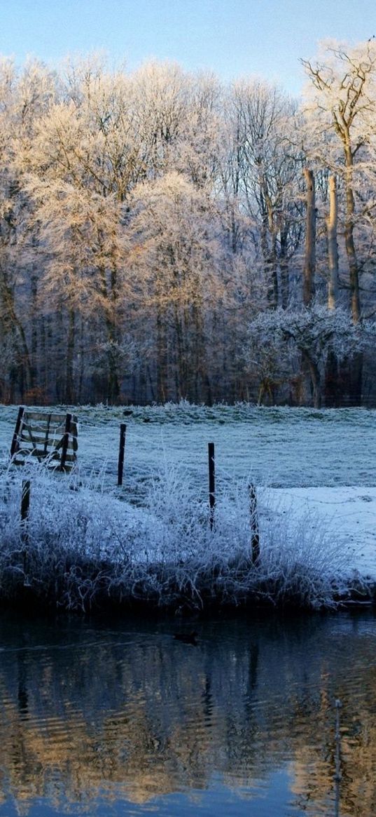 morning, lake, frost, freeze, november, fall, fence