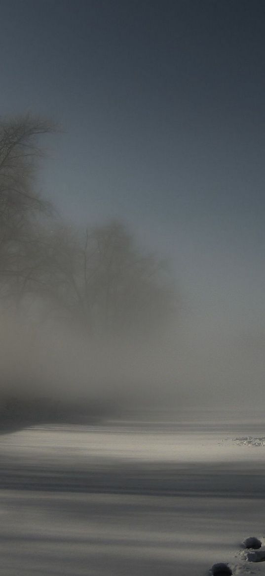 tracks, fog, snow, trees, darkness, night, drifts, cover, mystery