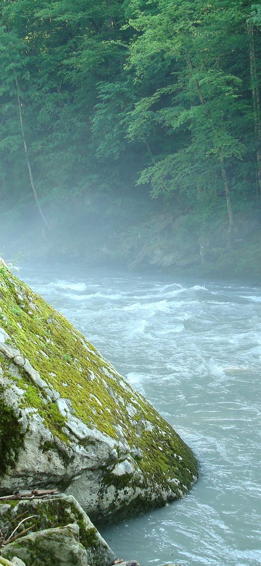 mountain river, stone, moss, adygea