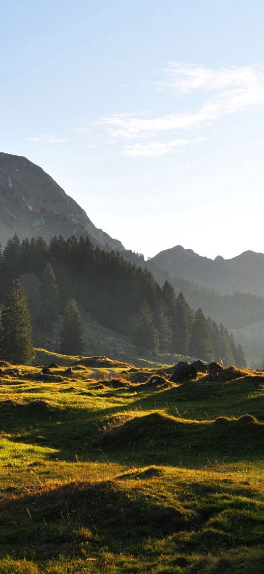 road, dirt, gravel, mountains, grass, terrain