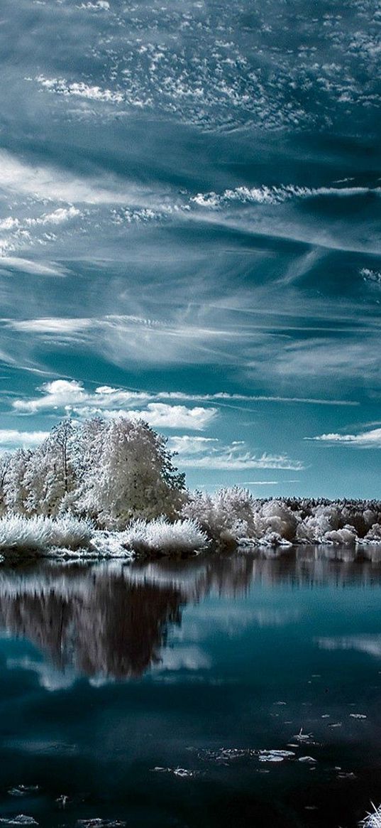 lake, winter, trees, clouds, reflection, hoarfrost, colors