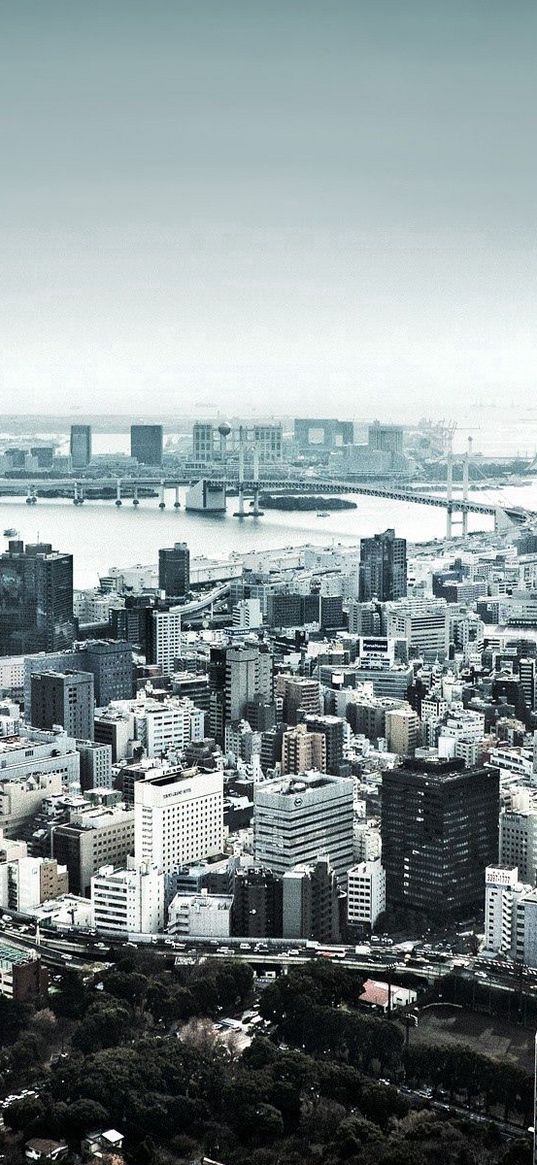 skyscrapers, houses, river, top view, panorama, city, black and white