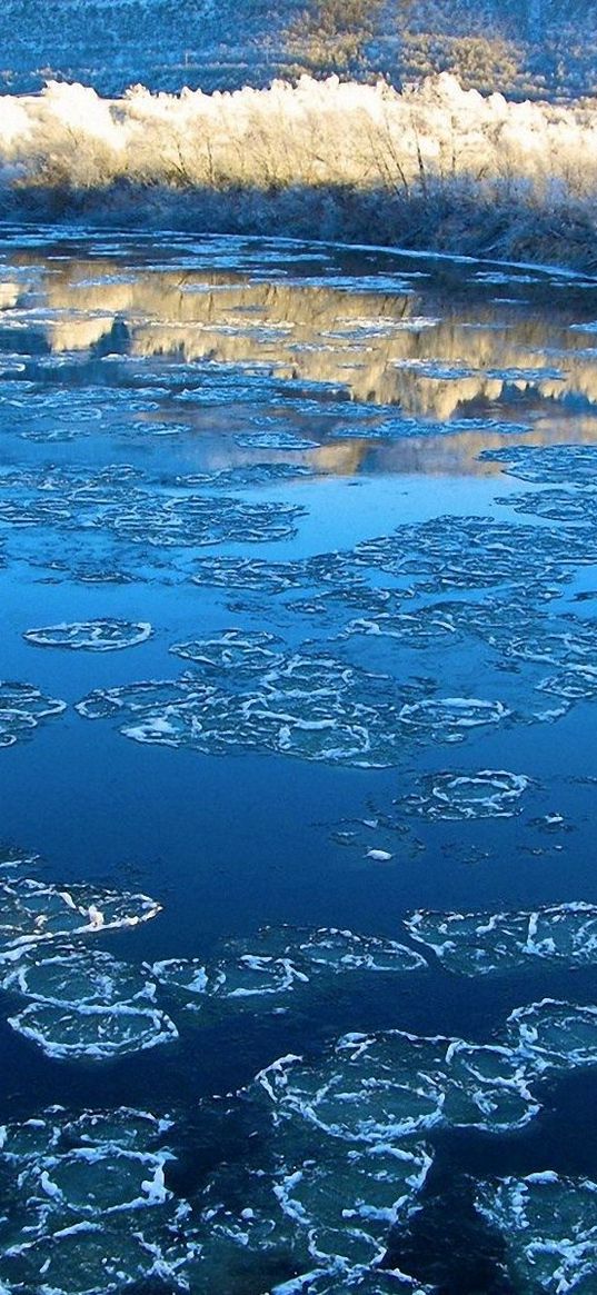 ice, river, coast, wood, frosts, blocks