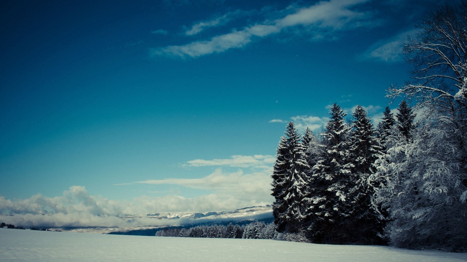 trees, snow, winter, glade, height, mountains, gloomy