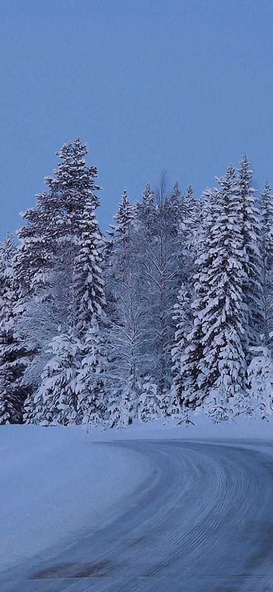 full moon, night, sky, road, lifting, snow, wood, trees