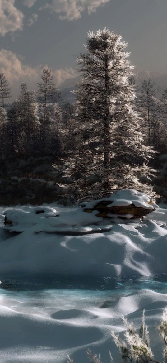 pine, river, snow, winter, evening, twilight