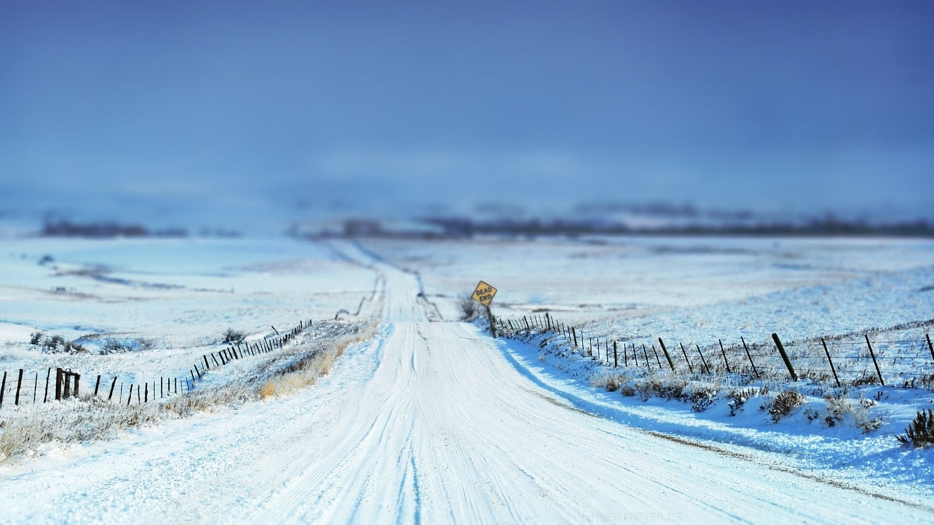 road, sign, snow, winter, protections, stakes, field