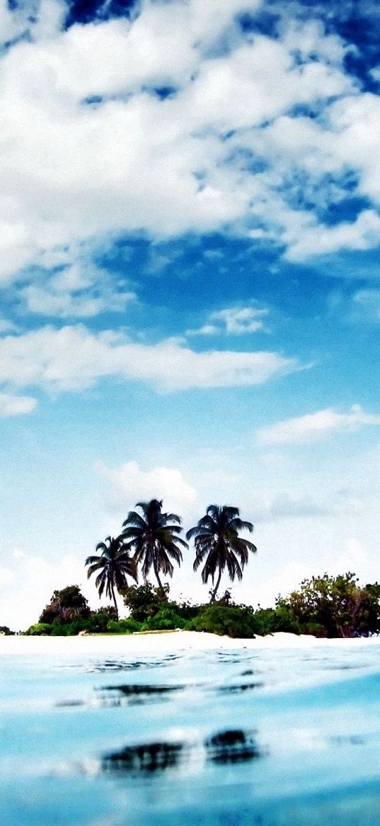 land, island, sea, clearly, blue water, sky, clouds, uninhabited, palm trees