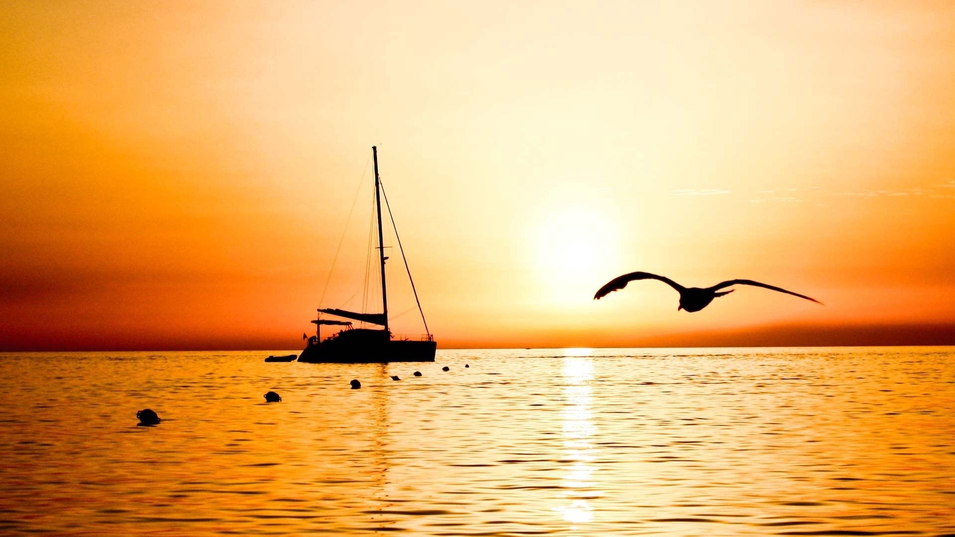 sailing vessel, fishing, bird, flight, evening, sea, outlines, anchor buoys