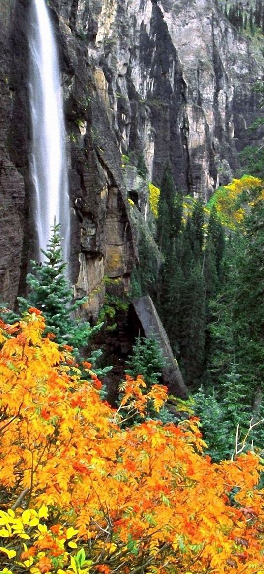 falls, trees, kroner, rock, autumn, stream, noise