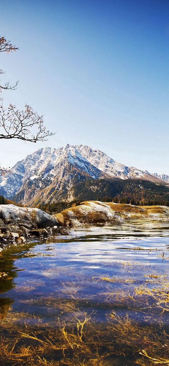 mountains, tree, river, water, transparent, bottom, vegetation, bushes, autumn, silence