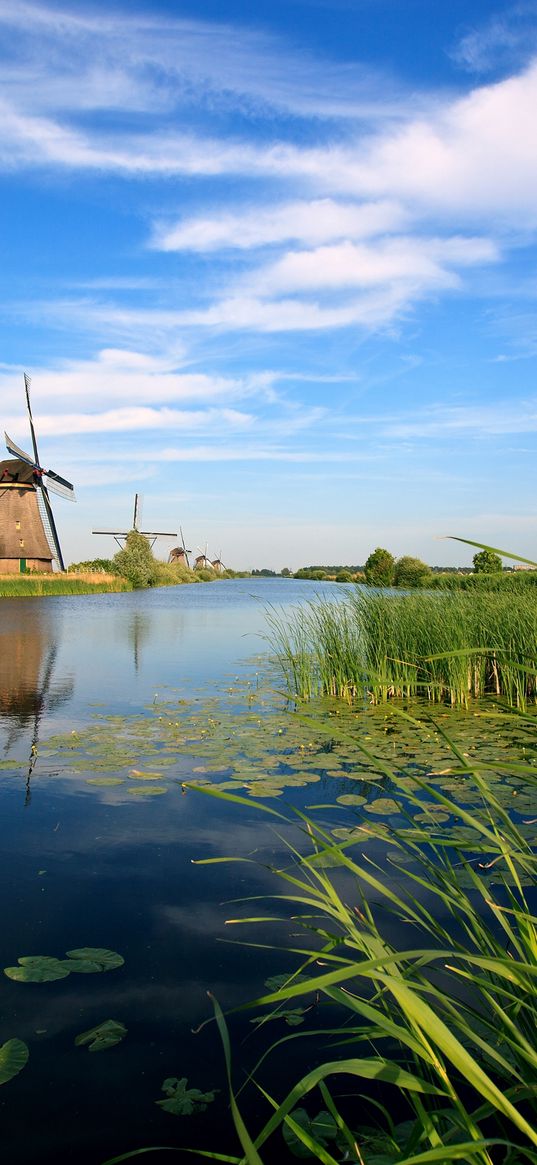 holland, mills, river, vegetation, canes