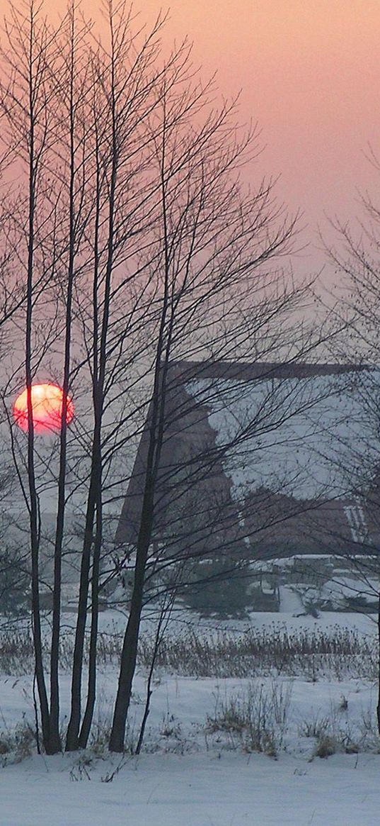 house, winter, dawn, fog