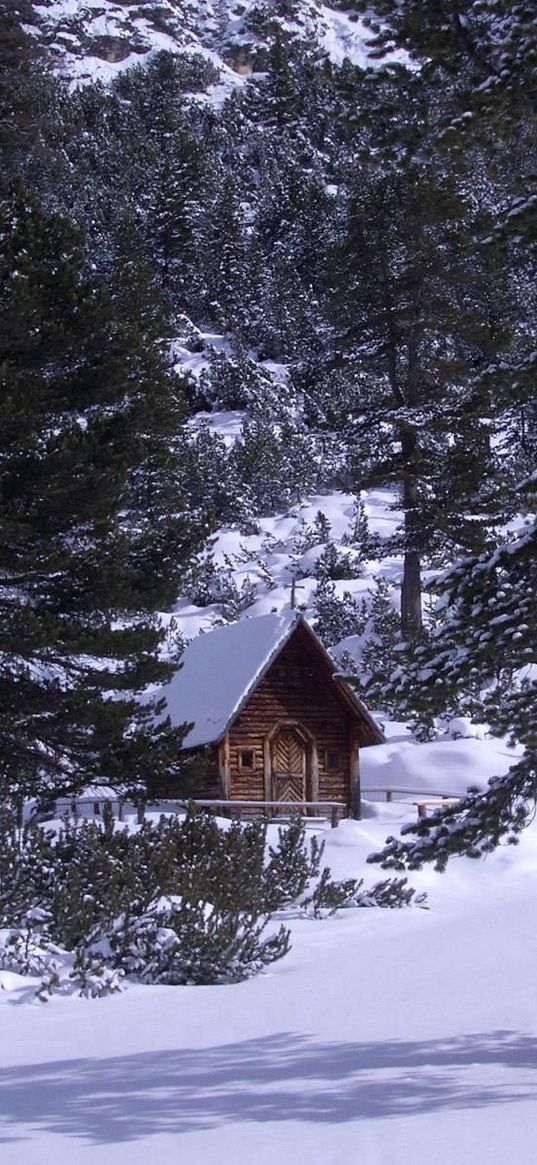 izba, wood, mountains, coniferous, snow