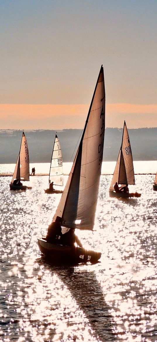 sea, sailing vessels, sun, clearly, day, reflection