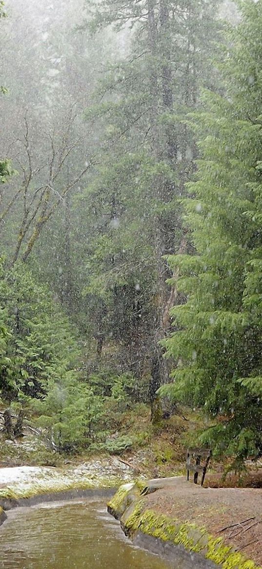 rain, wood, river, bad weather