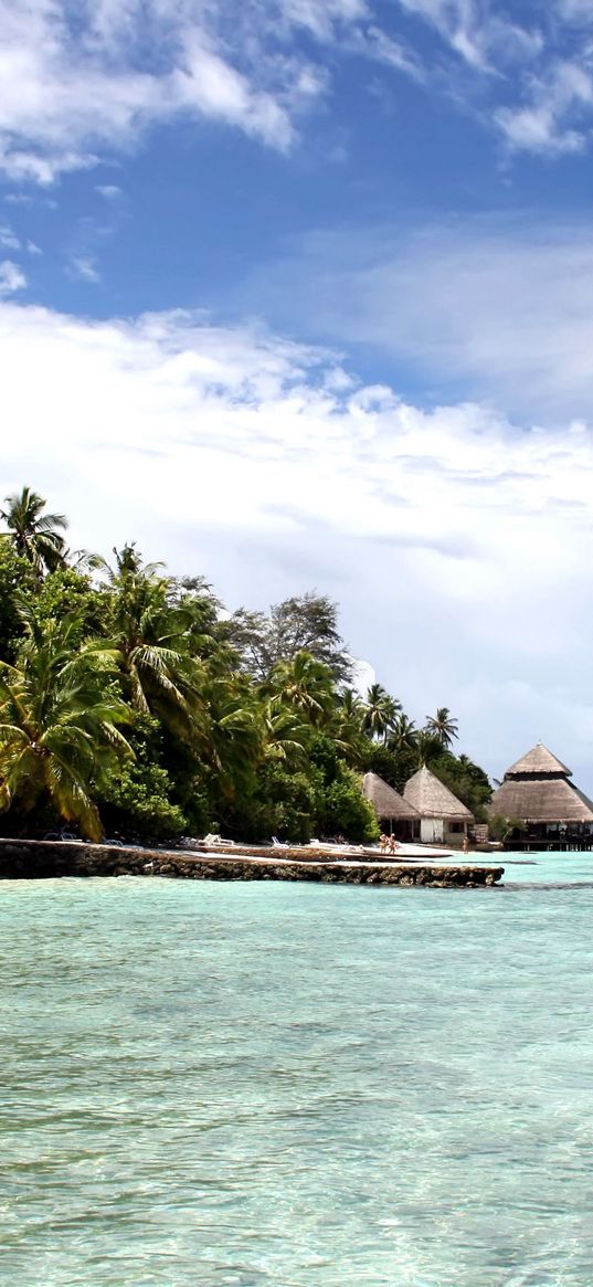 maldives, ocean, gulf, island, palm trees, coast