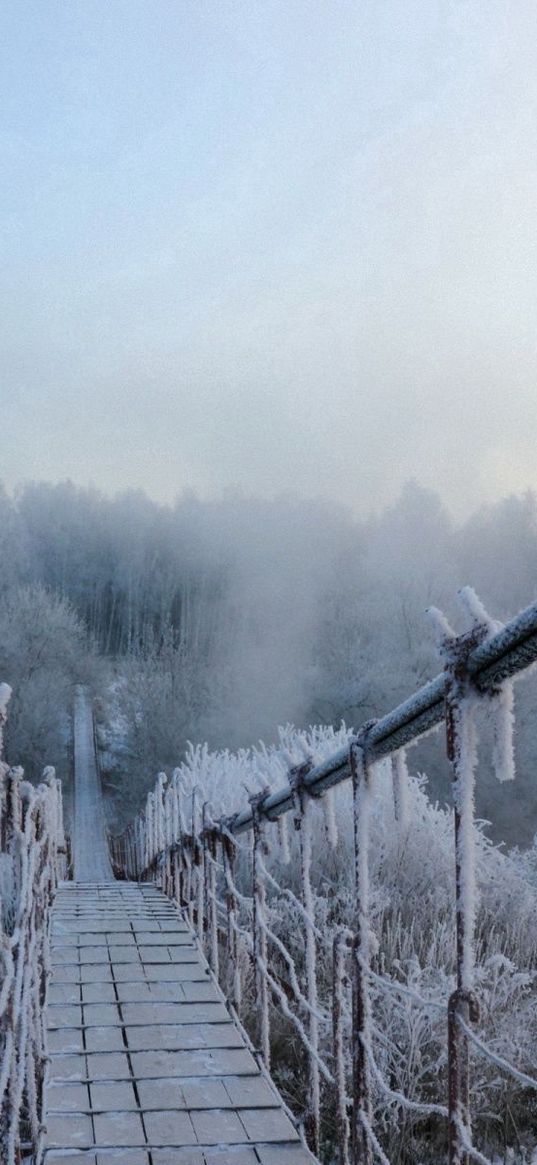 bridge, hoarfrost, pendant, cold, frost, winter, height